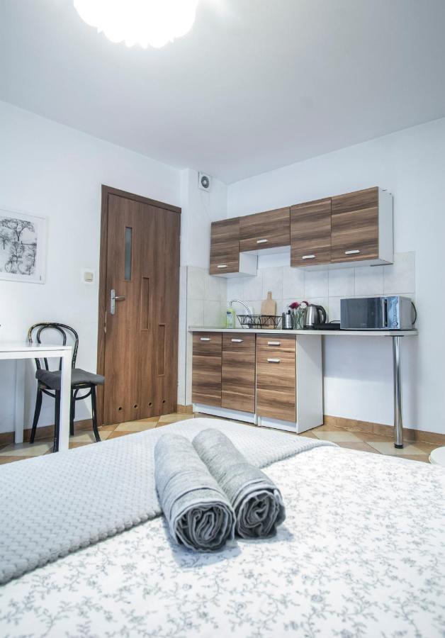 Lion Apartments - Your Own Apartment In Cracow Краків Екстер'єр фото